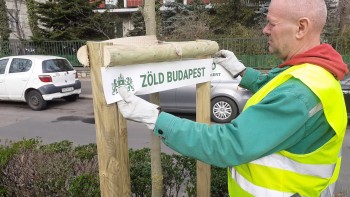 Közel 1500 fát ültetett a tavaszi időszakban a Budapesti Közművek FŐKERT Kertészeti Divíziója